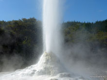 Lady knocks geyser- Nouvelle Zélande